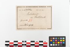 Etiketten zu Bronzebrillenfibel (NHMW-PRAE-023882)